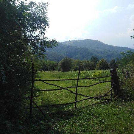 Guesthouse Smiljanic Slavkovica المظهر الخارجي الصورة