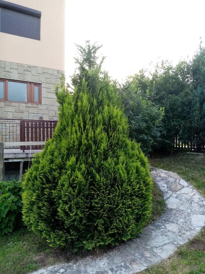 Guesthouse Smiljanic Slavkovica المظهر الخارجي الصورة