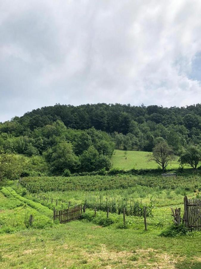 Guesthouse Smiljanic Slavkovica المظهر الخارجي الصورة