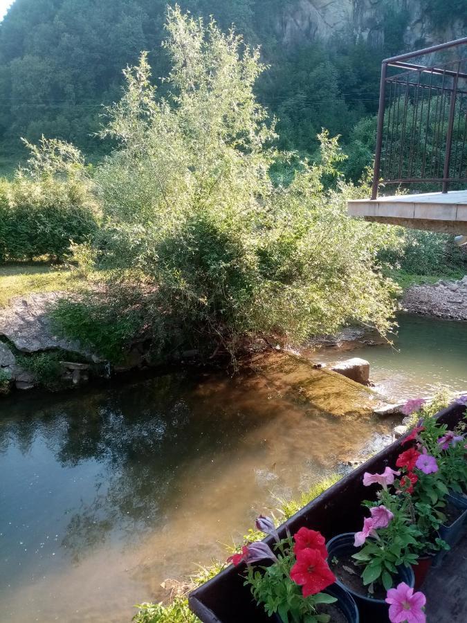 Guesthouse Smiljanic Slavkovica المظهر الخارجي الصورة