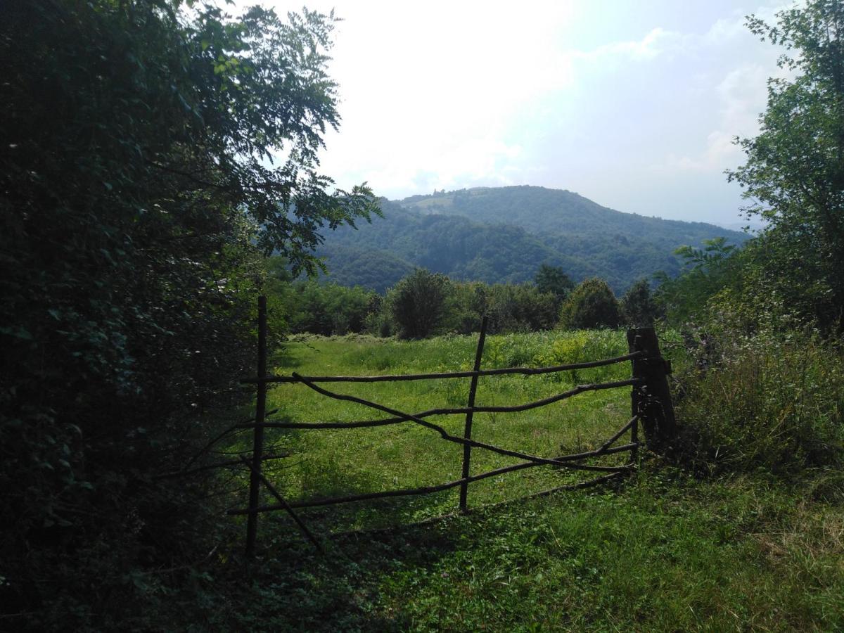 Guesthouse Smiljanic Slavkovica المظهر الخارجي الصورة