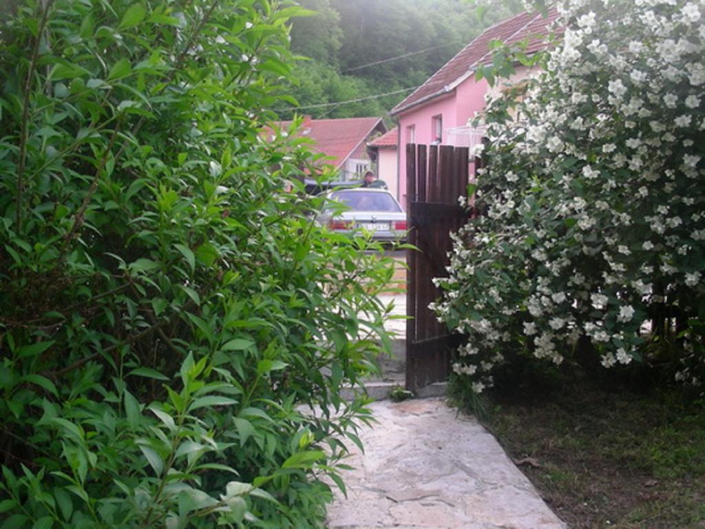 Guesthouse Smiljanic Slavkovica المظهر الخارجي الصورة