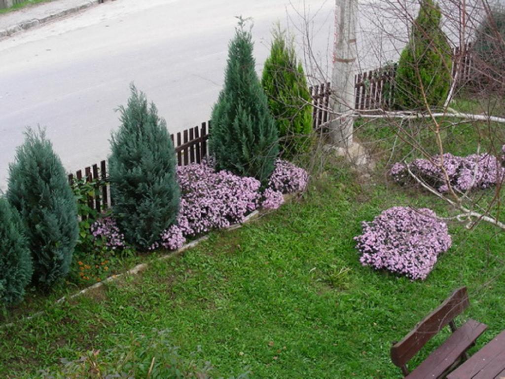 Guesthouse Smiljanic Slavkovica المظهر الخارجي الصورة