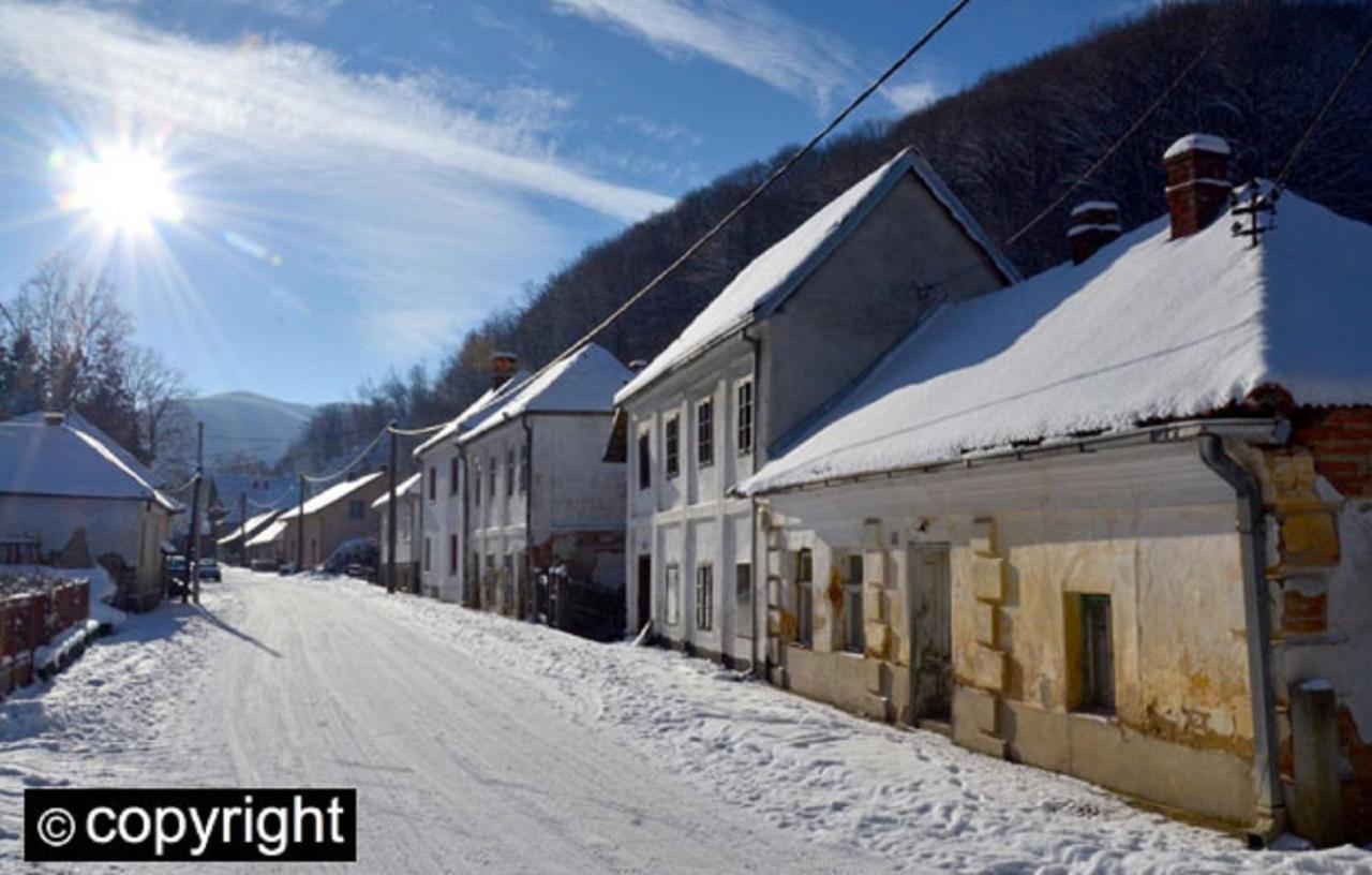 Guesthouse Smiljanic Slavkovica المظهر الخارجي الصورة