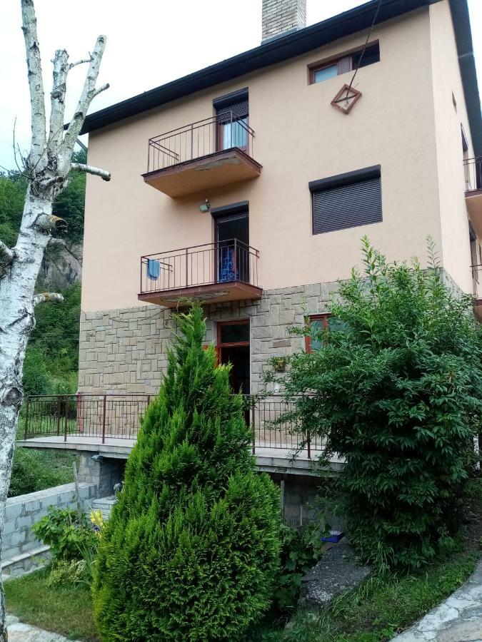 Guesthouse Smiljanic Slavkovica المظهر الخارجي الصورة